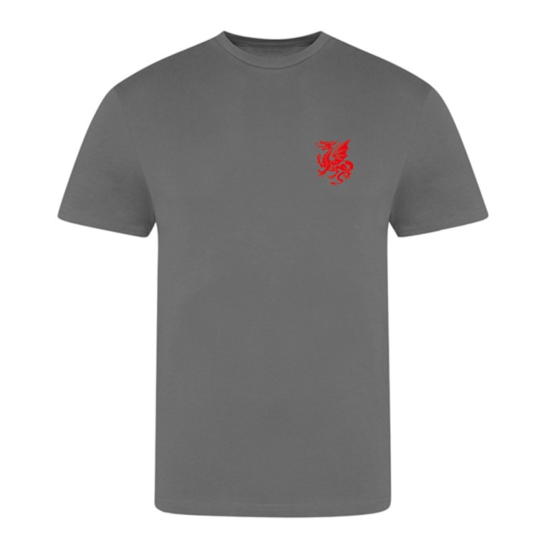 Hazelwell House T-Shirt - Charcoal